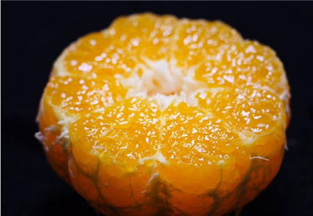 魏柑可能是這個季節(jié)最好吃的水果，90%的人都不知道