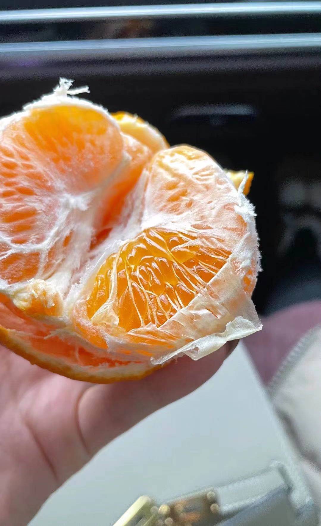 耙耙柑1.jpg 耙耙柑1.jpg