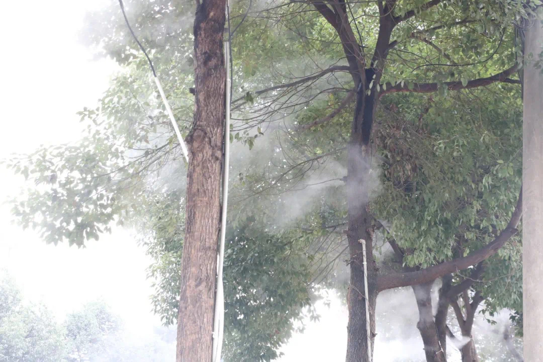 微信圖片1.jpg 微信圖片1.jpg